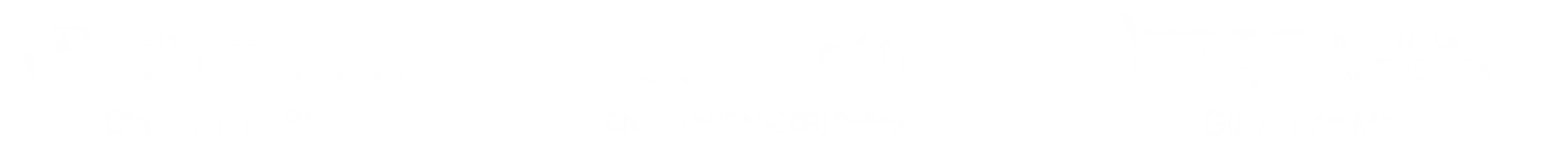 Chứng Chỉ Bảo Mật RIKVIP