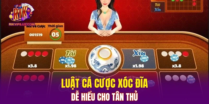 Luật cá cược xóc đĩa dễ hiểu cho tân thủ