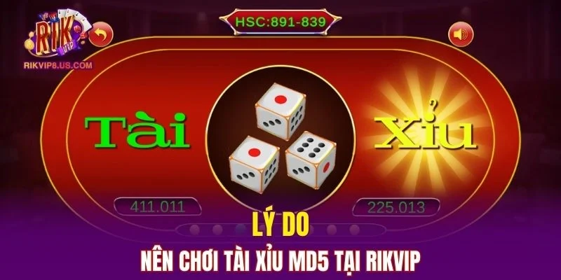 Vì sao nên chơi tài xỉu tại RIKVIP thay vì nền tảng khác?
